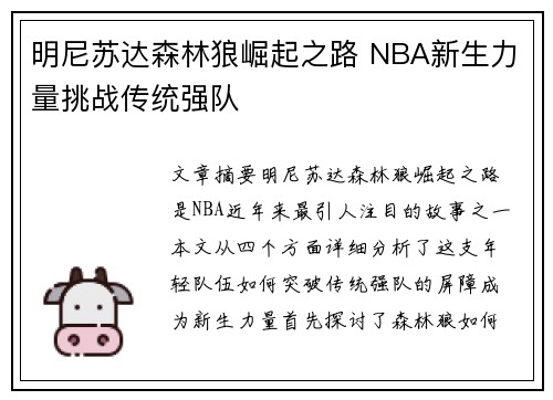 明尼苏达森林狼崛起之路 NBA新生力量挑战传统强队